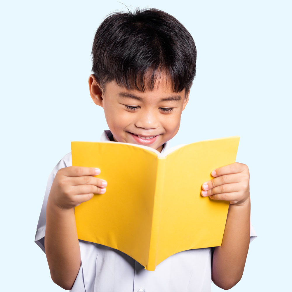 Preschool Aged Boy Reading a Book